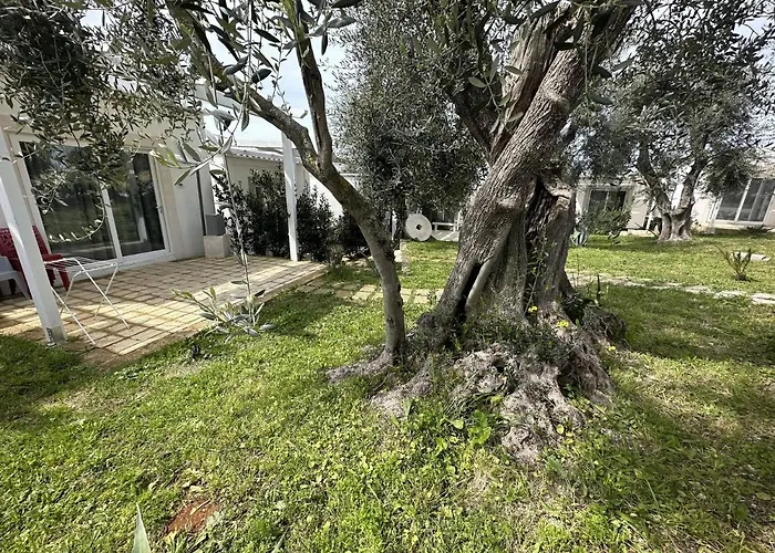 Frontemare Hotel Village&Ristorante